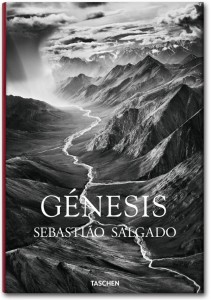 La muestra de la Villa y Corte toma como eje el libro "Génesis", que Sebastiao Salgado publicó con Taschen