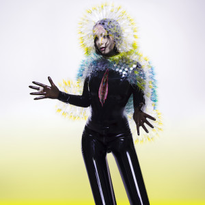 Björk comenzó a construir "Vulnicura" durante la gira de "Biophilia"